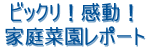 ƒ؉|[gI 