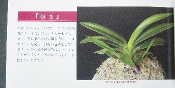 xMÂ薼l